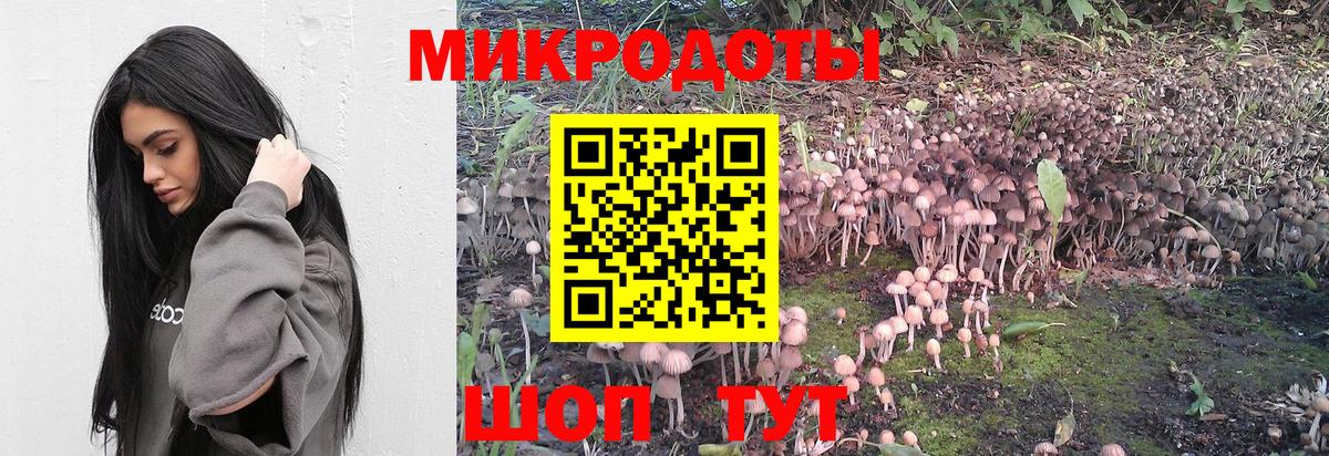 Псилоцибиновые грибы GOLDEN TEACHER Чита